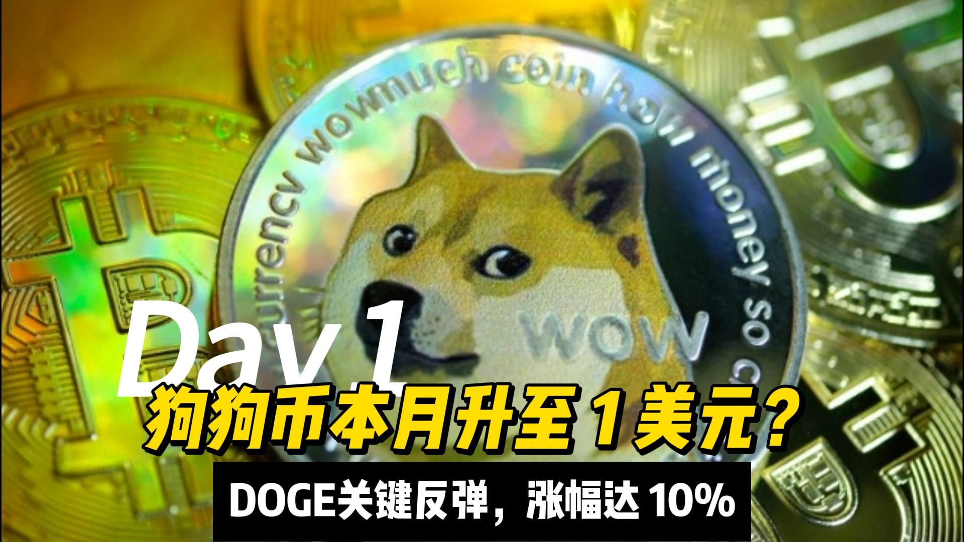 狗狗币骗局曝光遭曝光，已有超14.09人被骗！，引爆行情